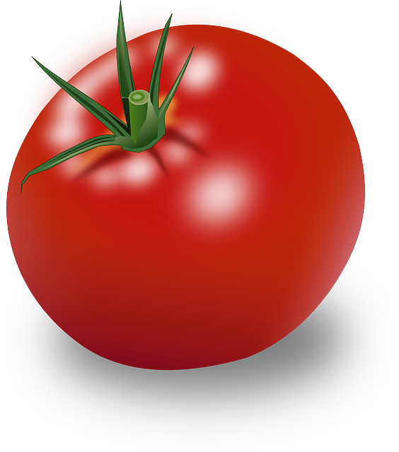 rajčata jako zdroj lykopenu - Lykopen je lidským organismem snadno přijímán a snášen, nezpůsobuje vznik alergické reakce jako při požití celých rajčat. Pro zajímavost - ¾ kg pyré z rozvařených rajčat je zdrojem asi 15 mg lykopenu, což je množství obsažené v denní dávce produktu Lycoforscaps NEW.